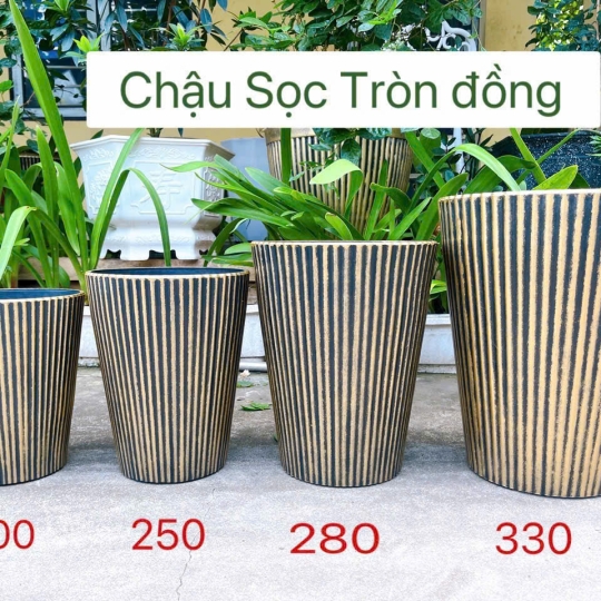 CHẬU SỌC TRÒN ĐỒNG